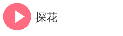 探花
